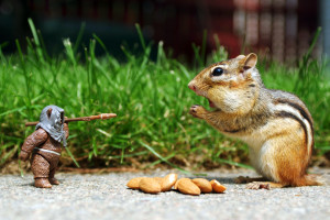 战队基地生活大揭秘,你的偶像竟是个“游戏宅男”!