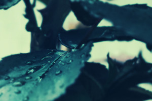 玩家笑了，市场疯了！电竞创意企划引爆新潮流