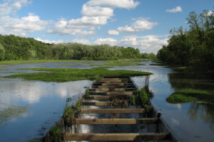 难以置信！这群平凡的战士，在奇迹之夜点燃全球激情！